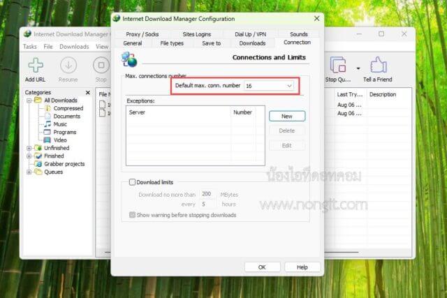 หน้าต่างการตั้งค่า IDM แสดงการปรับ max connections