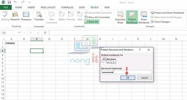 nongit-Password-protect-sheet-04