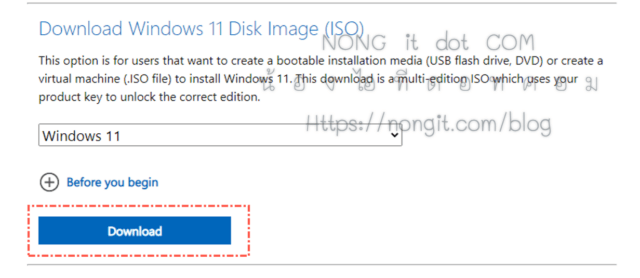 Download Windows 11 Disk Image (ISO)