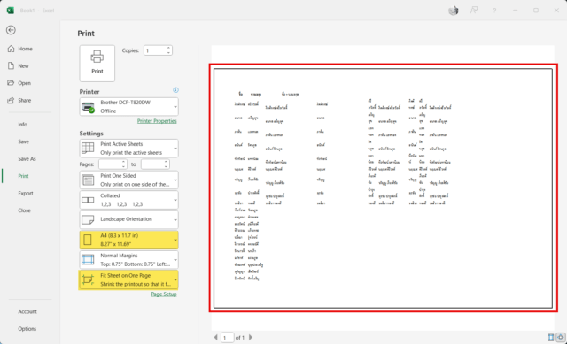 ผลลัพธ์หลังการใช้เทคนิคปริ้น excel หน้าเดียว ข้อมูลทั้งหมดพอดีกระดาษ A4