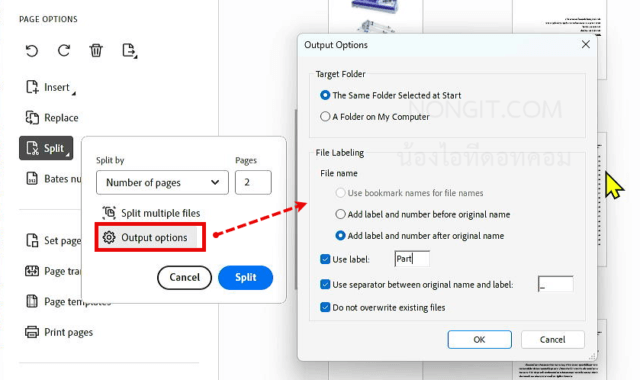 ตั้งค่า Output Options เพื่อกำหนดที่จัดเก็บและชื่อไฟล์ PDF ที่จะถูกแยกออกมา